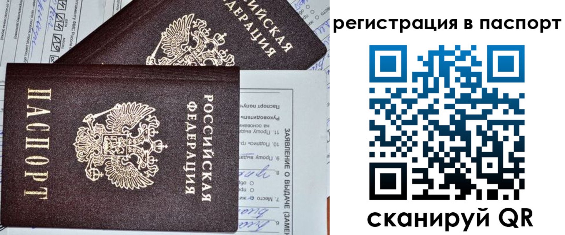 прописка законно в Светлограде